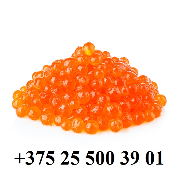 Интернет-магазин морепродуктов